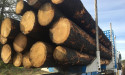 Paper shortage triggers appeal for audit