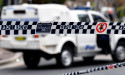  Dog thrown off NSW cliff, cops investigate 