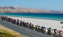 Cyclists cop most fines in safety campaign