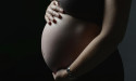  No lag in IVF child development: study 