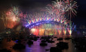Fireworks deliver long-term hit for wildlife: study