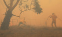 Barilaro's office denied bushfire funds in Labor seats