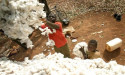  Ivory Coast cotton output to fall 50% in 2022/23, says minister 