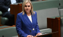  Paid parental leave changes to further gender equality 