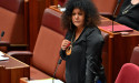 More work needed before alcohol ban opt-out: minister