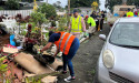 NZ army helps flood-hit Auckland prepare for Gabrielle