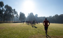 Aussie hearts paying the price for poor COVID routines