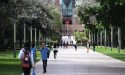  No surge in Chinese student visas since Beijing edict 