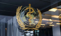  WHO: Equatorial Guinea confirms first-ever Marburg virus disease outbreak 
