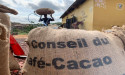  Ivory Coast 2022/23 cocoa arrivals at 1.650 million T by Feb. 19 - exporters 
