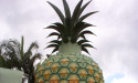  Big Pineapple has court win over disputed $5.5m debt 