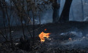 Control lines drawn for large Victorian grassfire