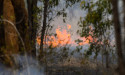  Large, fast fire threatens properties in western Qld 