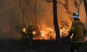 La Nina fans flames ahead of next bushfire season