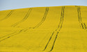 Farmers deliver rivers of gold but drier times ahead