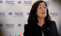  Energy prices, green credentials head ACCC concerns 