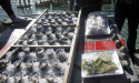 Australian seafood nets big dollars but tide is turning