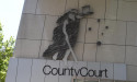 Mother spared jail after flinging boyfriend off car
