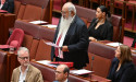 Voice missing piece to closing gap: Indigenous envoy