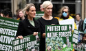 Former bulldozer-blocking MP wants to protect activists
