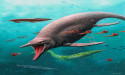  Oldest fossils of remarkable marine reptiles found in Arctic 