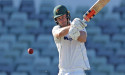  Tigers' Webster packs on Shield pain for ailing Qld 