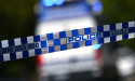 Toddler killed by ride-on lawn mower driven by dad