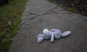 Children 'not protected' due to failures by Qld govt