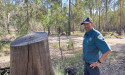 Firewood thieves in regulators' sights this autumn