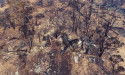 Deaths of US aircrew heroes probed in bushfire inquest