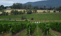  Australia's wine industry fizzing over prosecco 