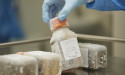 'Poo transplant' could help save blood cancer patients