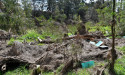 Minister wants to pay landowners to help repair nature