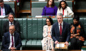 Voice an important new chapter for Australia: Dreyfus