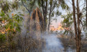 Cultural burning expansion to reduce bushfire risk