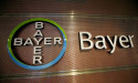  Shareholder Temasek backs re-election of Bayer supervisory board chair -WiWo 