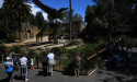 Zoos understaffed as workers protest Vic wage policy