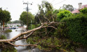  Severe storms, cold temperatures ahead for Easter break 