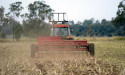 Breakthrough in Australia, China barley trade dispute