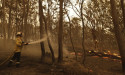 Further delays to Black Summer bushfire inquiry