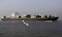  Indian govt to invite financial bids for Shipping Corp in May -sources 