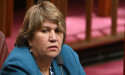 Next step towards voice referendum begins with inquiry