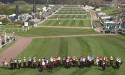 Campaigners call for jump racing ban after three horses die at Aintree
