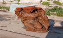 Archaeologists in Italy unearth ancient dolphin statuette