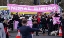  More than 40 de-arrested after Grand National protests – animal rights group 