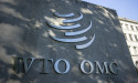  WTO panel rules against India in IT tariffs dispute with EU, others 