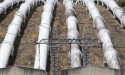 Net-zero scenarios map contest for energy, land, water