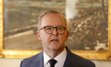 Albanese defends voice over High Court concerns