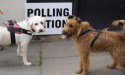  Provisional May 5 council election declaration times 
