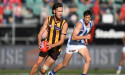 Stadium cash tipped to pave way for Tasmanian AFL team